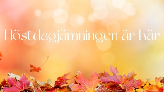 HÖSTDAGJÄMNINGEN ÄR HÄR