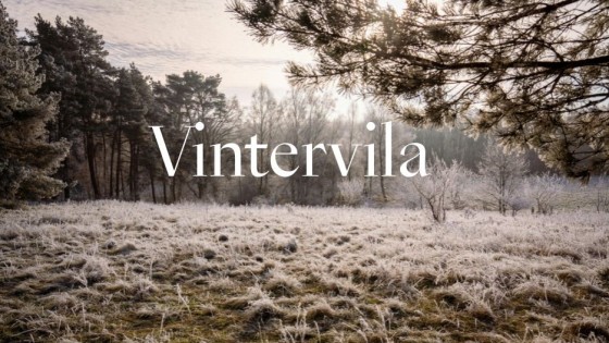 VINTERVILA