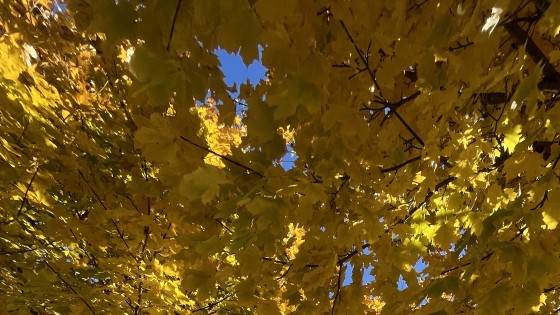 Know when seasons end and assignments change