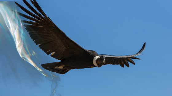 🌬 The Sacred East — The Path of New Beginnings