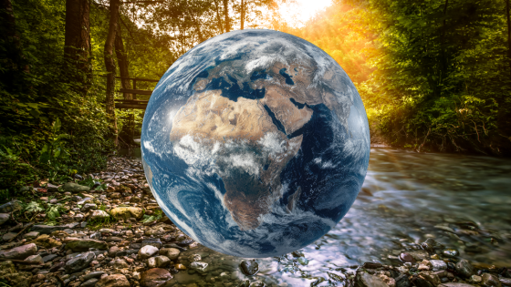 🌍 The Sacred North — The Path of Wisdom and Grounding