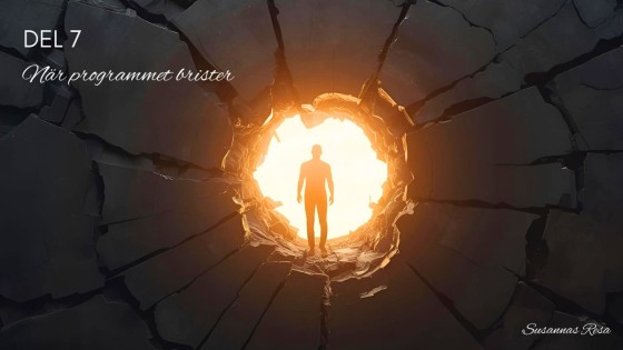 ✨ Del  7 – När programmet brister