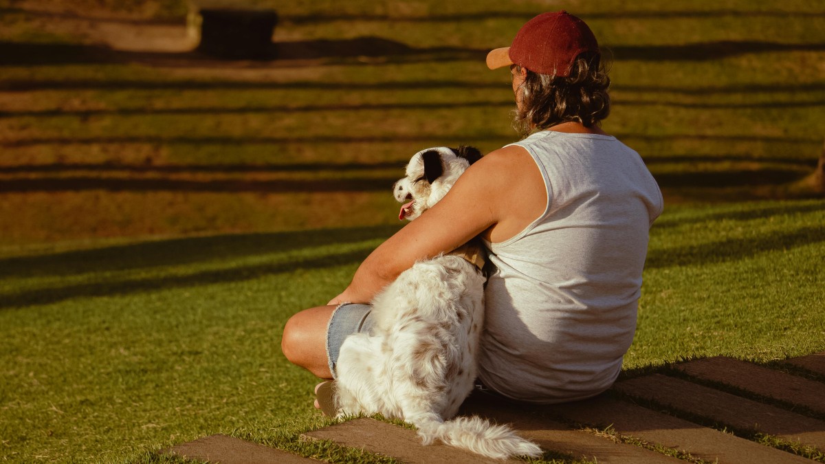The Story we tell about the Dog