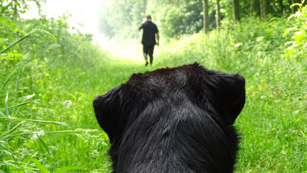 You are not behind - You're just looking in the wrong place