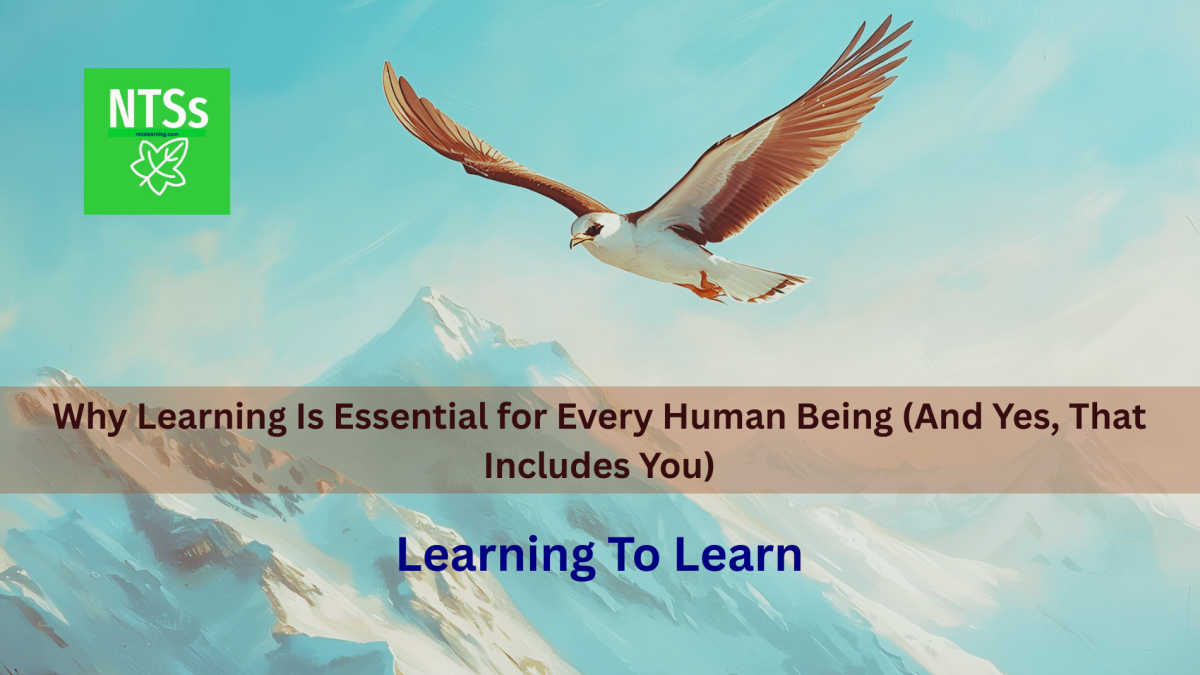 Why Learning Is Essential for Every Human Being (And Yes, That Includes You)