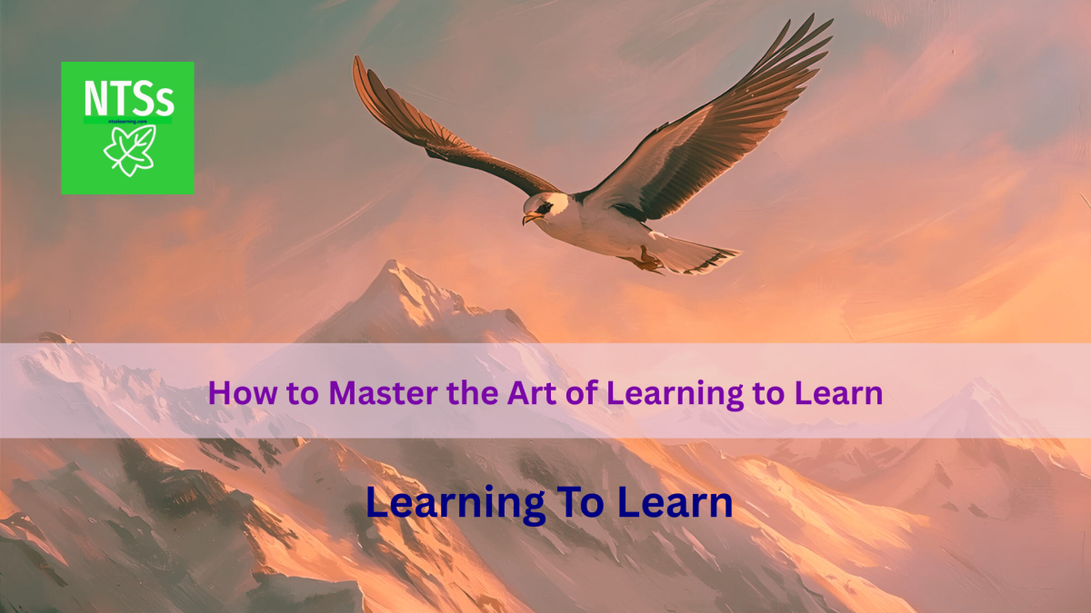 How to Master the Art of Learning to Learn (No.2 in series)
