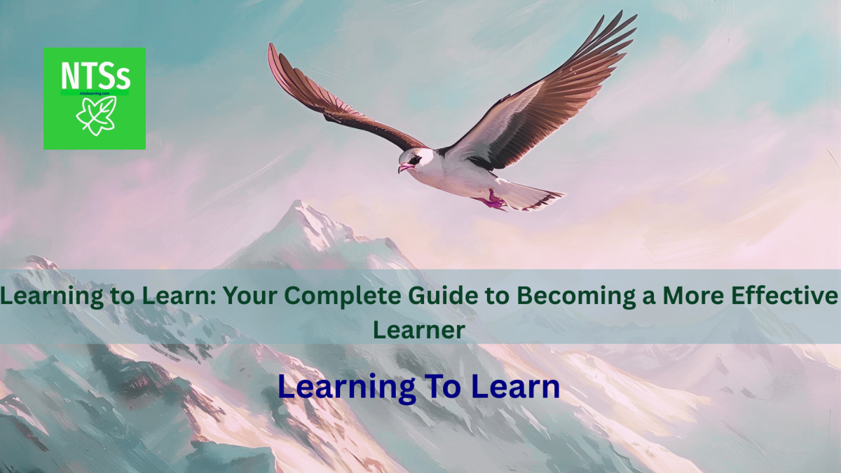 Learning to Learn: Your Complete Guide to Becoming a More Effective Learner