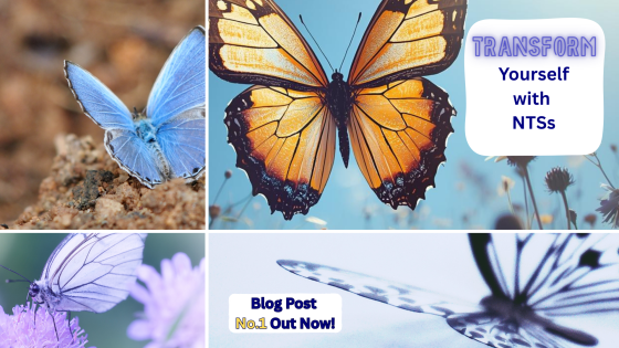 You’re Not Alone: How to Overcome Fear and Take Your First Step Back into Learning