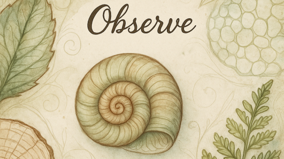 Hidden Sculptors: Why Plants Might Be the Best Sculptors You’ve Never Noticed