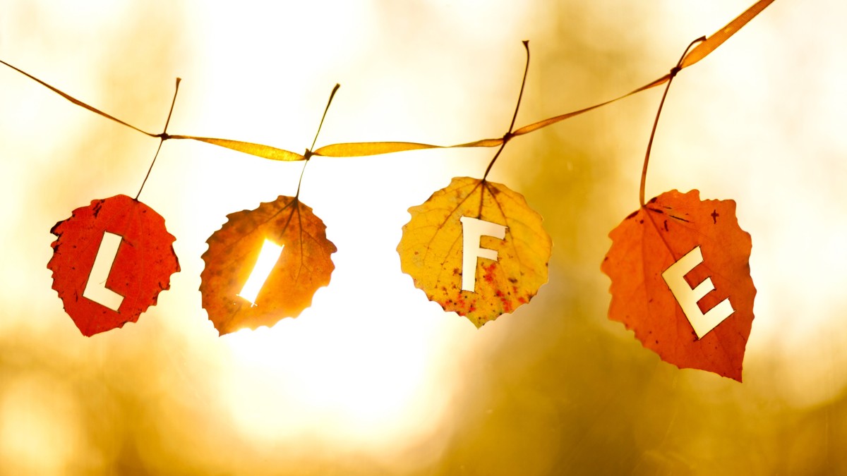 Historien om fiskaren och affärsmannen