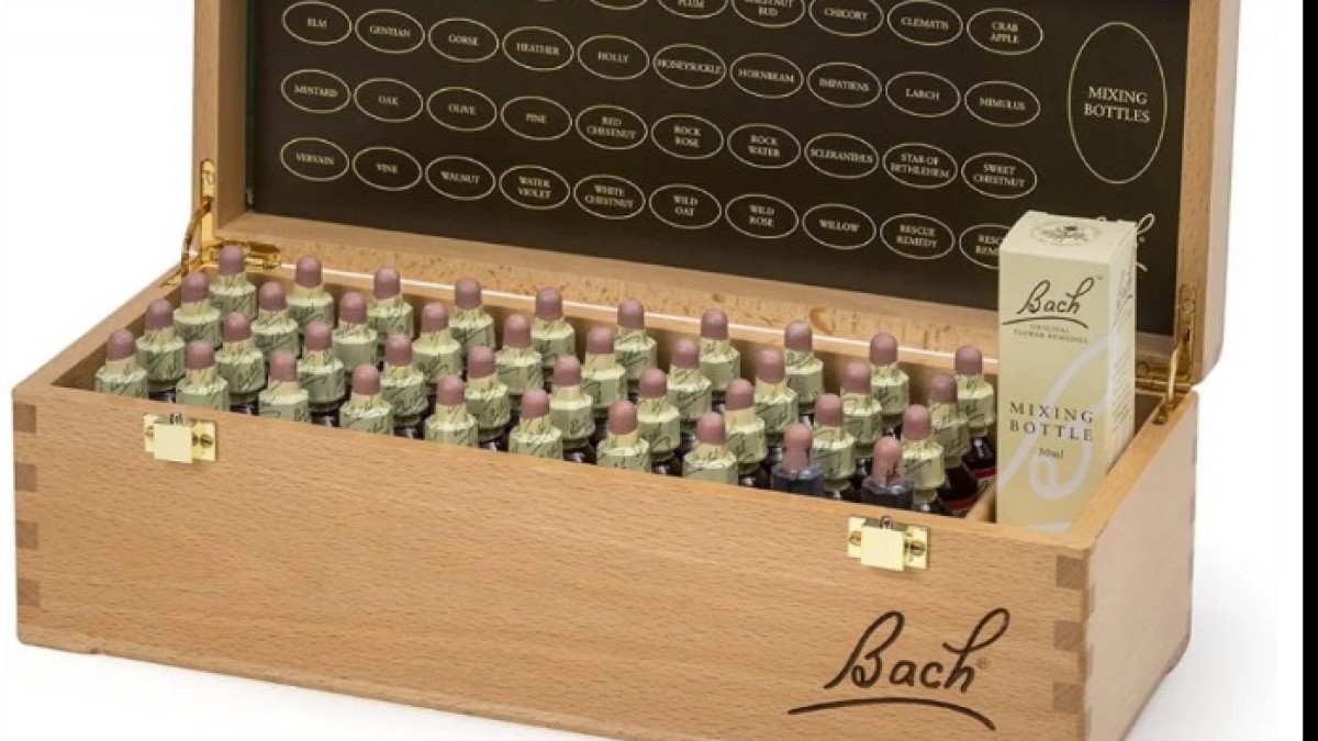 Which Bach Flower Remedy Do You Need? A Simple Guide to Understanding Your Emotions