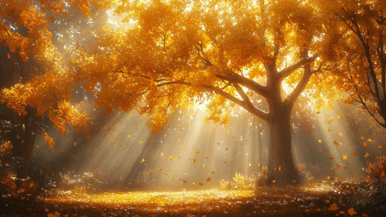 Jag önskar jag hade... 💛