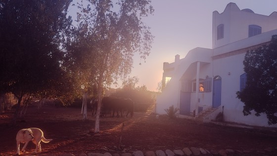 🌀 Wo Flow zu Hause ist ...