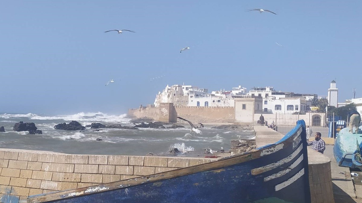 🌊 Essaouira – Wo Leichtigkeit Flügel bekommt ...