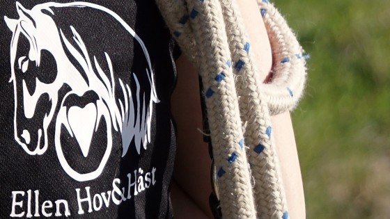 Viljan att växa och lära