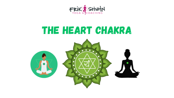 Heart Chakra: Compassion as Biology & Embodied Connection