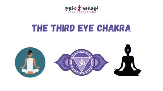 Third Eye Chakra: Perception, Intuition & the Brain