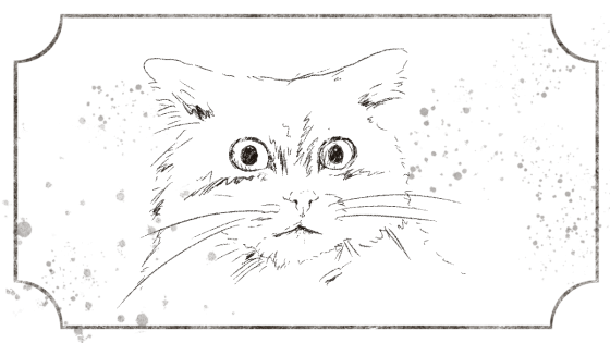 Hur du väljer rätt foto för ett djurporträtt