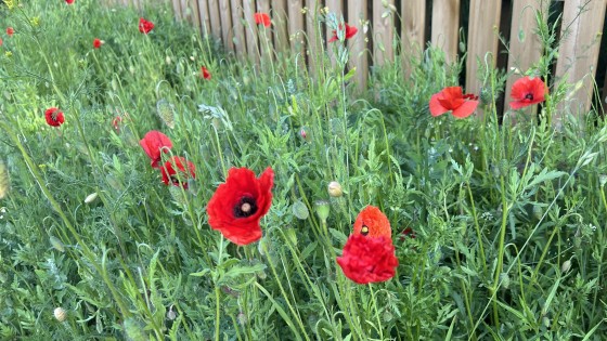 Landa i nuet - det första steget mot mer energi och självläkning