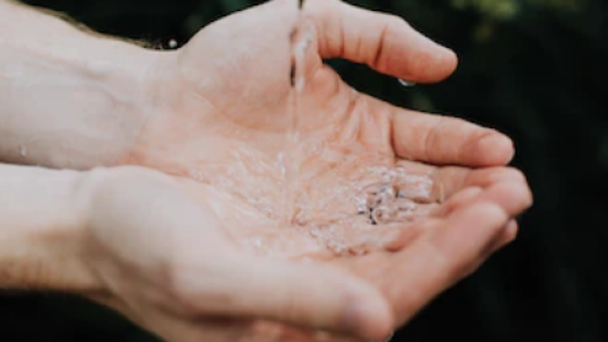 🌿 Naturen läker oss – mer än vi tror