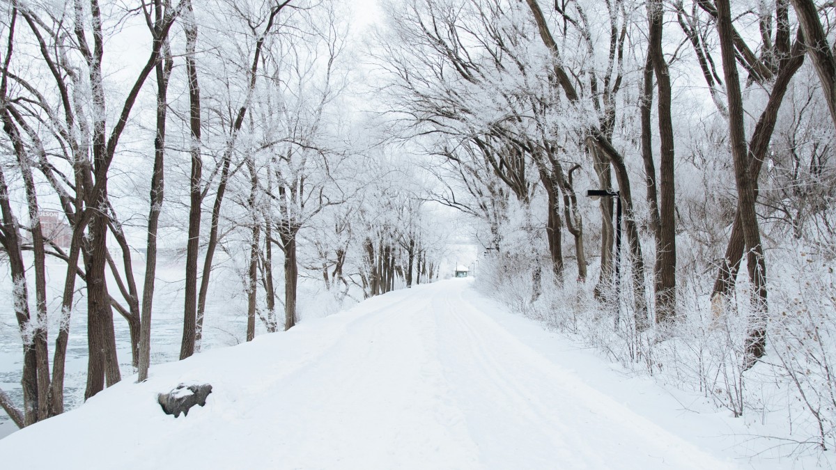 Ett nytt år – men ingen brådska