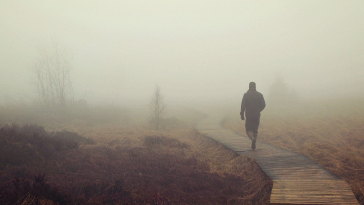 Tunteiden polulla 🌱