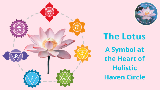 The Lotus - The Symbol Behind Holistic Haven Circle
