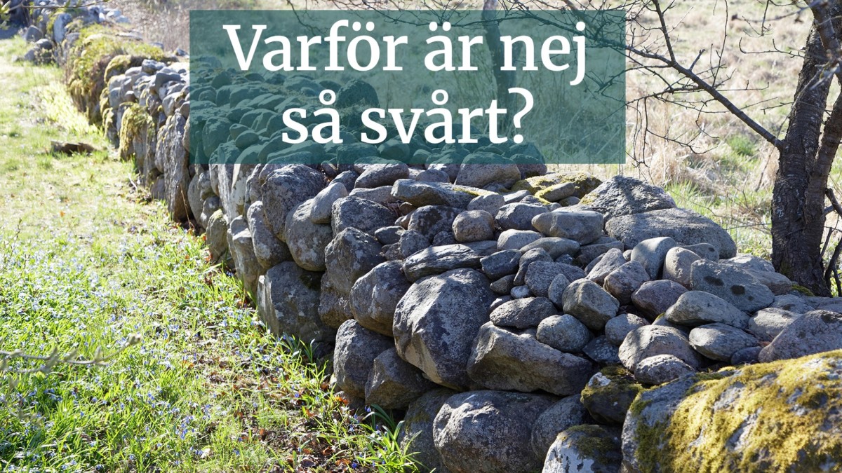 När gränserna skyddar - om konsten att säga ja och nej som chef