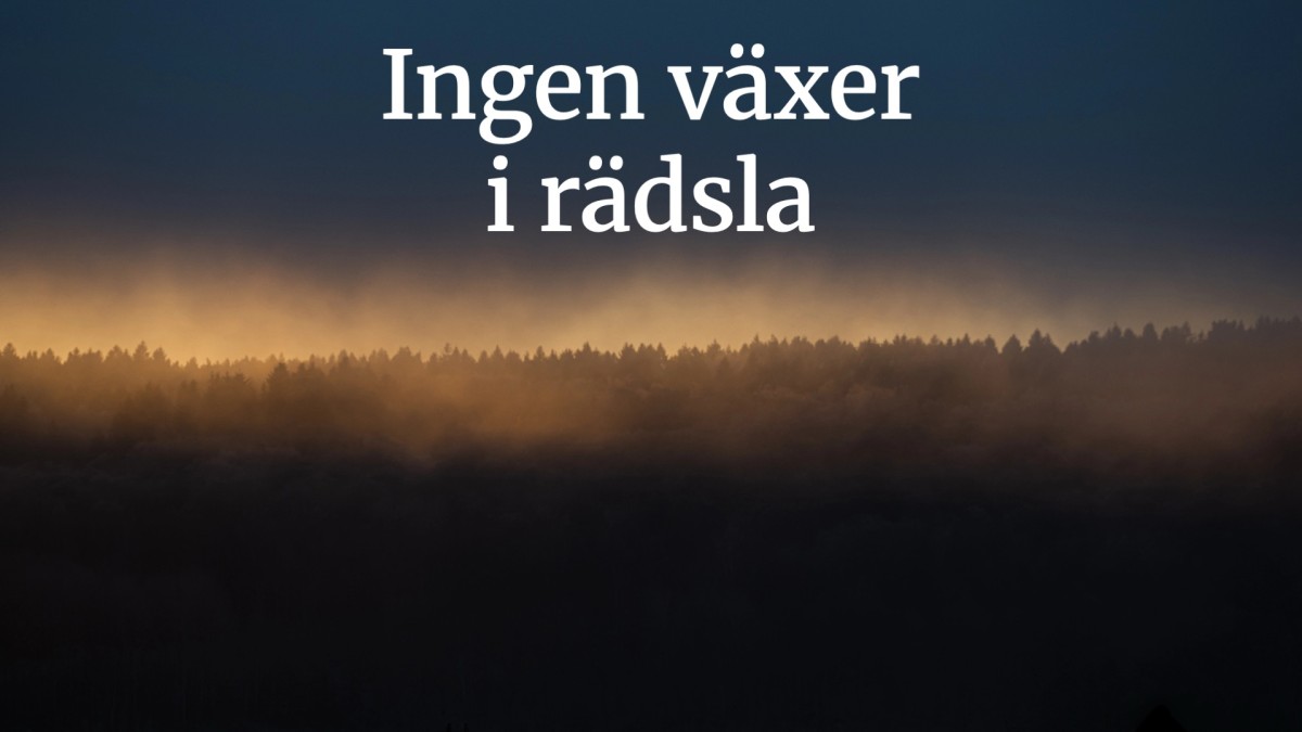 Att få trygghet, ansvar och engagemang att växa – psykologisk trygghet i fokus