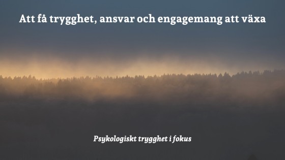 Att få trygghet, ansvar och engagemang att växa – psykologisk trygghet i fokus