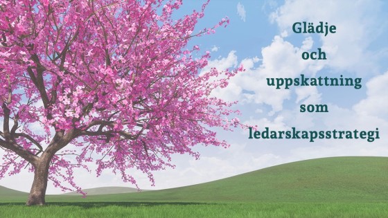 Glädje  och  uppskattning  som ledarskapsstrategi