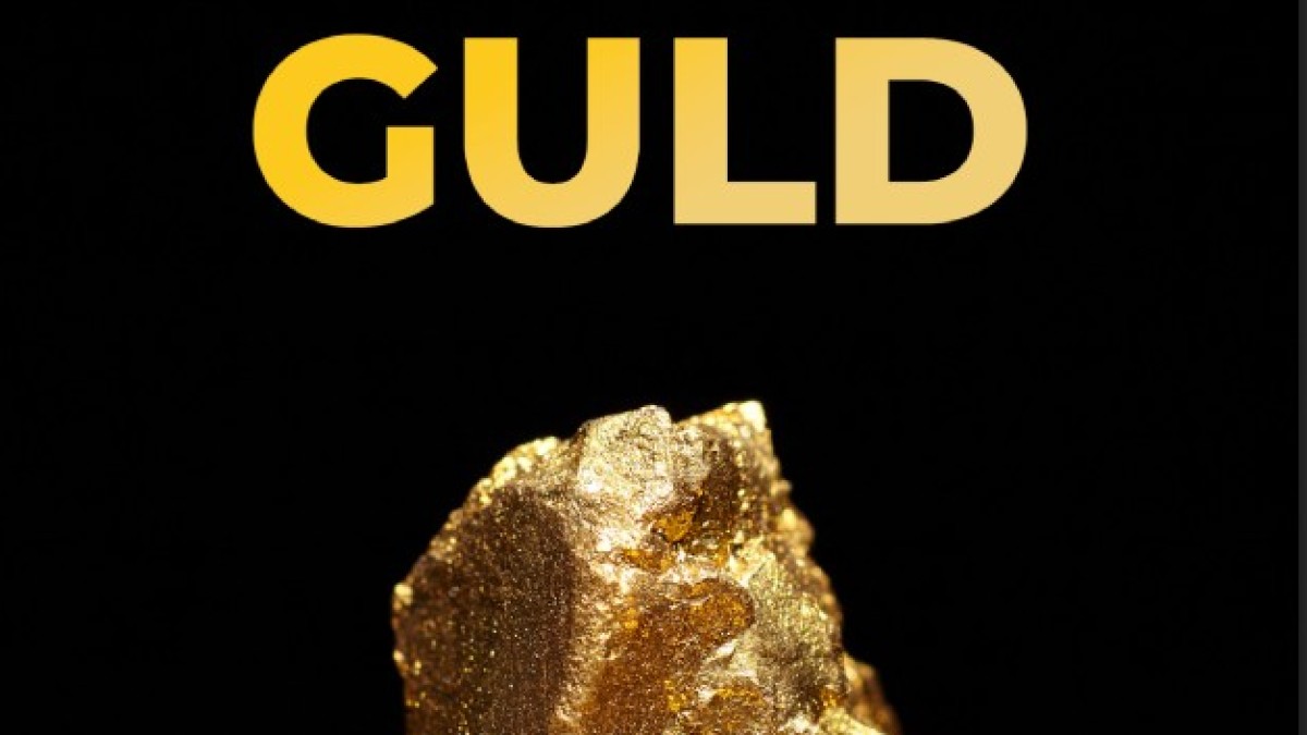 Guldgruvbolagen: Decenniets kanske mest felprissatta investering?