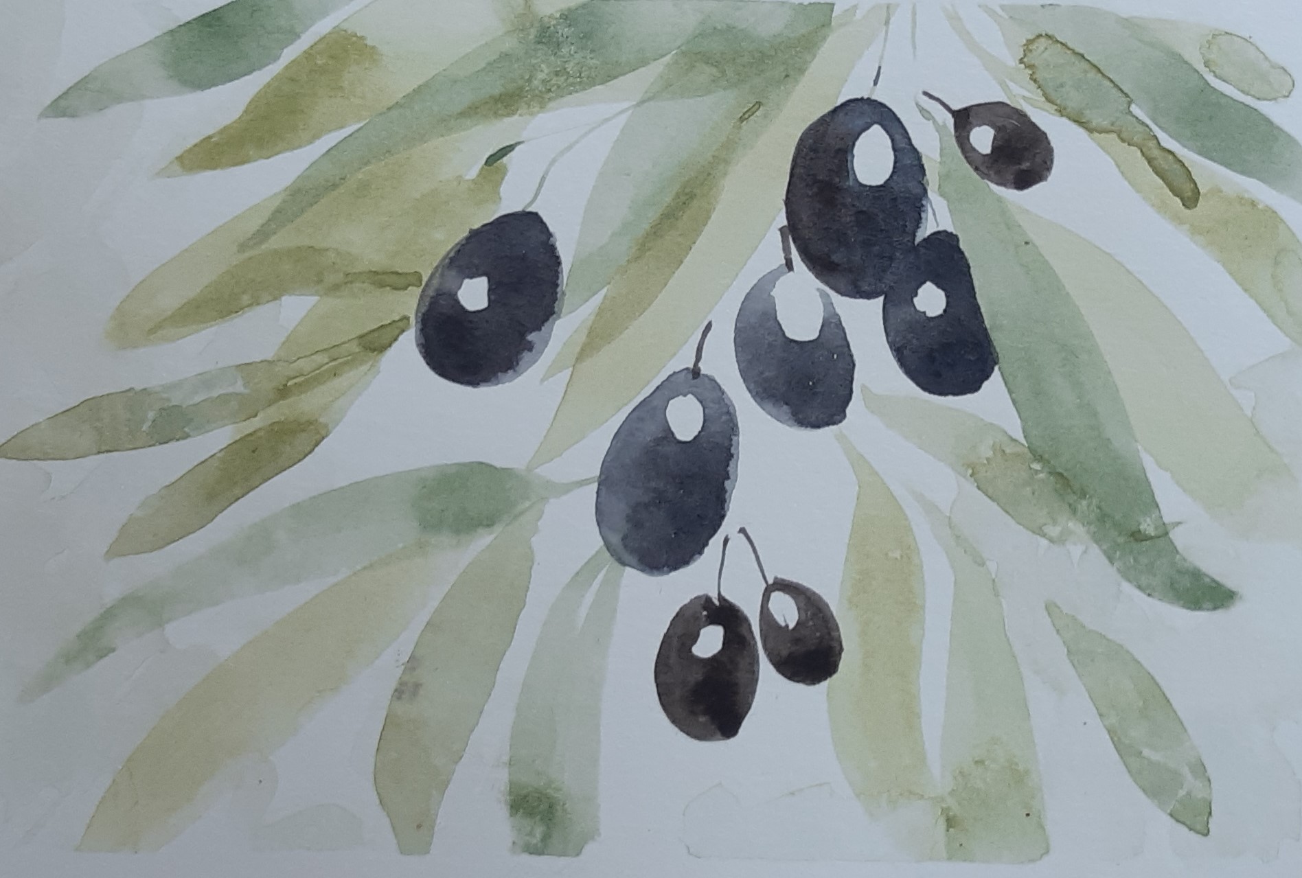 20% OFF Kolinsky sable watercolour brushes