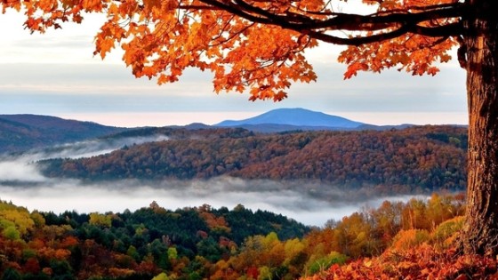 Halloween and Creating a New Story!