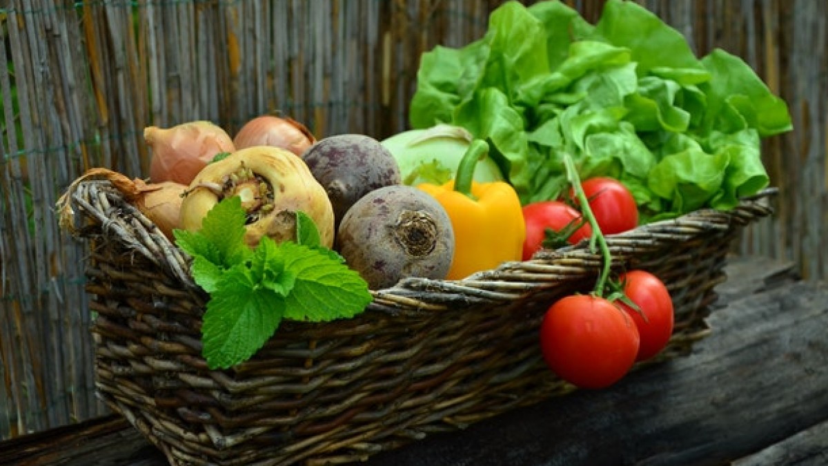 7 Healthy Reasons To Grow A Garden