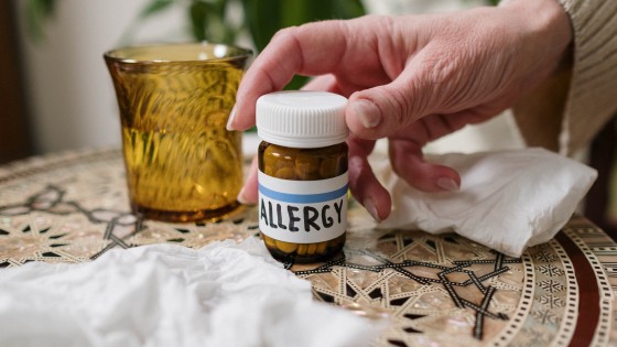 5 Tips To Have An Allergy-Free Spring