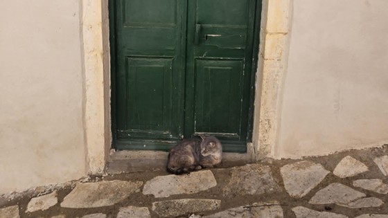 Första veckan på Corfu...