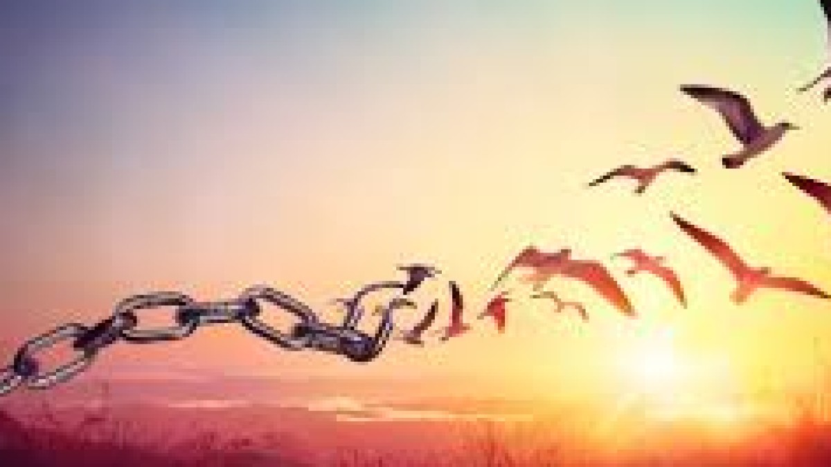 Resan mot ett friare liv