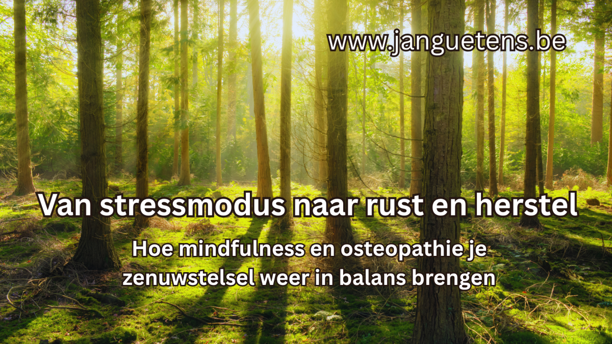 Van stressmodus naar rust en herstel