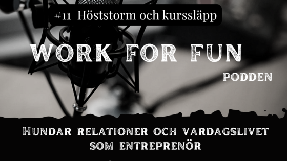 🍁 Höststormar, hundliv och en kurs som blåser in med värme