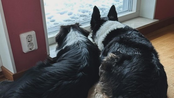 🎙️ Rutiner, Visioner & Val