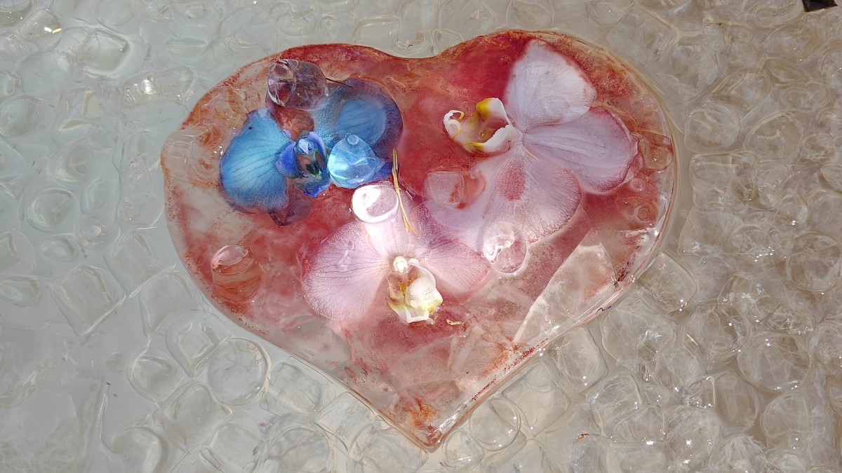 February Reflections