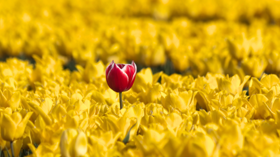 What Neurodivergent Really Means for Wellness