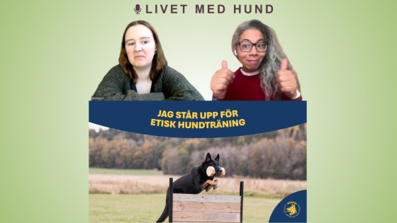 Etolog Emma Almquists svar om etisk hundträning