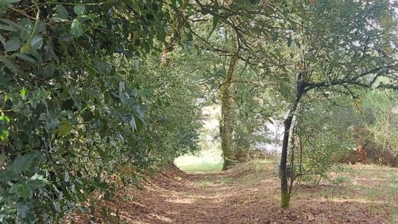 Facing Your Fear Is Where Liberation Begins