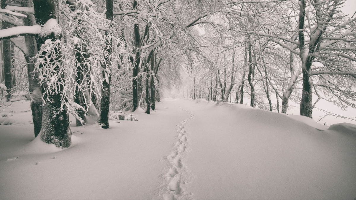 What January Reveals When Things Slow Down