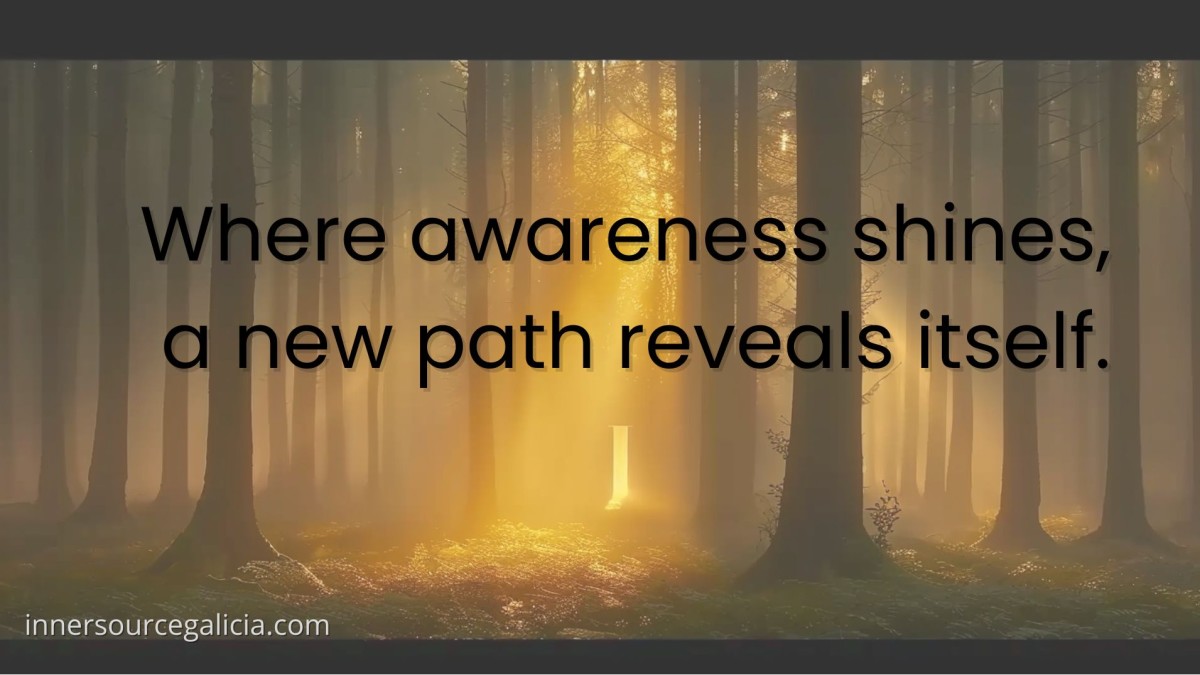 16-12-25 newsletter Theme: A tiny shift that breaks an old loop