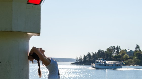 Intention eller prestation