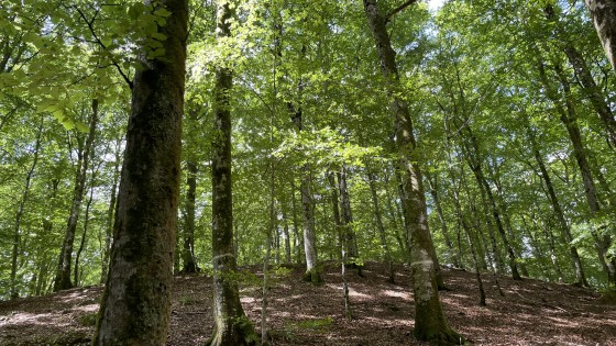 Yoga - religion eller vetenskap?