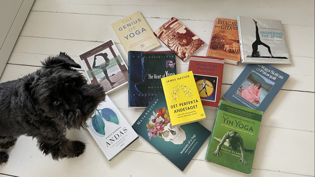 Tips på inspirerande böcker för att bli nykär i yogatraditionen! Del 1